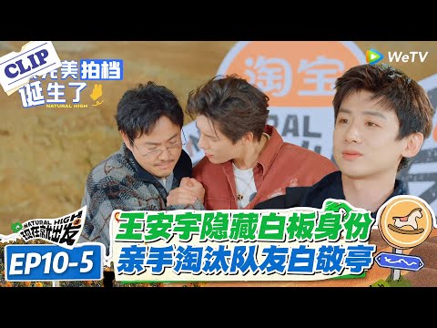 现在就出发 第3季 EP10-5：白板队友的背叛！王安宇投票淘汰白敬亭，综艺效果直接拉满#现在就出发S3 #沈腾 #白敬亭 #王安宇 #金晨 #范丞丞