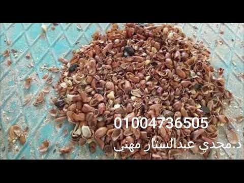 Bean Peels فوائد قشر الفول فى تسمين العجول