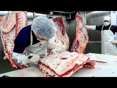 33 Years of Mastery – Breaking Down Premium Korean Beef