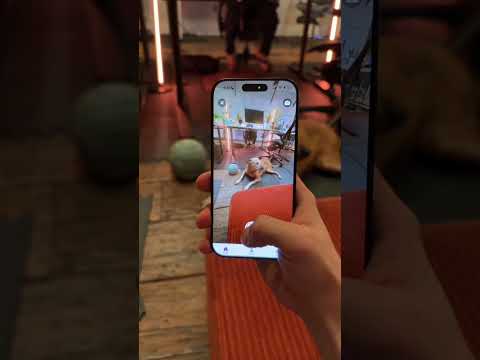 Vibe coding an iOS app for my dogs with vibecode.dev