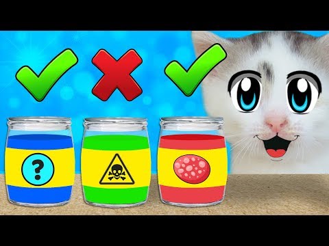 ВЫБЕРИ ПРАВИЛЬНО, ЧТОБЫ ВЫЖИТЬ ! ЧЕЛЛЕНДЖ для КОТОВ ! КОТ ВЫБРАЛ ПРАВИЛЬНУЮ ДВЕРЬ и КОРОБКУ ?