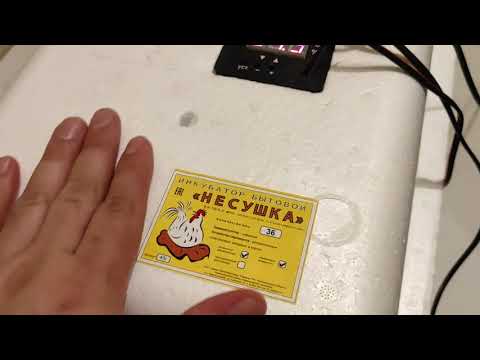 Обзор Инкубатора Несушка с цифровым терморегулятором 36 яиц автопереворот 12В гигрометр вентилятор