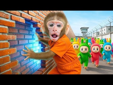 Scary Labubu Appears! Monkey Bon Bon Tries to Escape 😂 #monkey #monkeybaby #animalshome