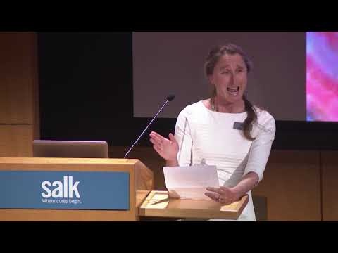 Gerald S. Shadel  Talk title: The “Age” of Mitochondria