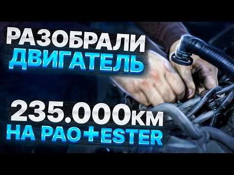 ЧТО БУДЕТ ЕСЛИ ЗАЛИВАТЬ МАСЛО PAO+ESTER / РАЗОБРАЛИ ДВИГАТЕЛЬ НА 236 000 КМ