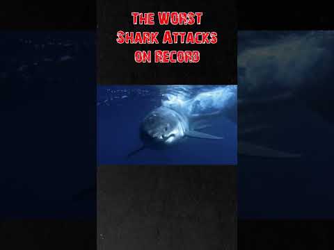 They Never Made It Out Of The Water 🦈