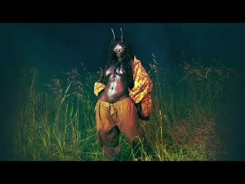 SZA - Scorsese Baby Daddy (Official Audio)