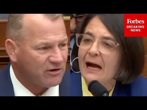 WATCH: Republicans & Dems Debate The Rapid Expulsion Of Migrant Offenders Who Violate And Evade Act