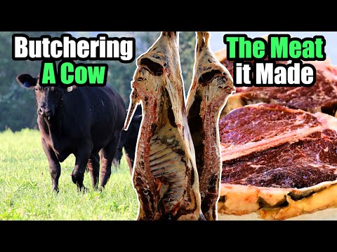 Butchering a Grass-fed Beef Cow & How Much Meat We Ended up With
