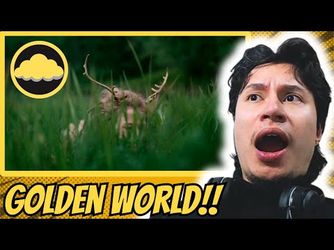 ARTIST REACTION | Heilung | Anoana [Official Video]