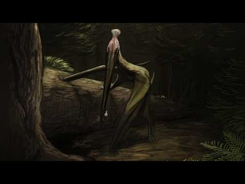 The Most Terrifying Island To Ever Exist