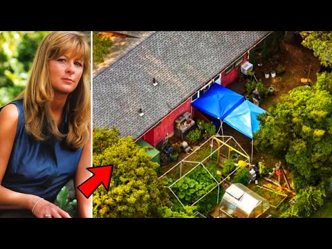 10 Cold Cases That Were SOLVED In 2024 | Documentary