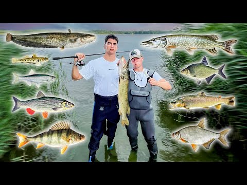 🇩🇪 Fischarten Geschmacksvergleich: XXL Fischarten Catch&Cook