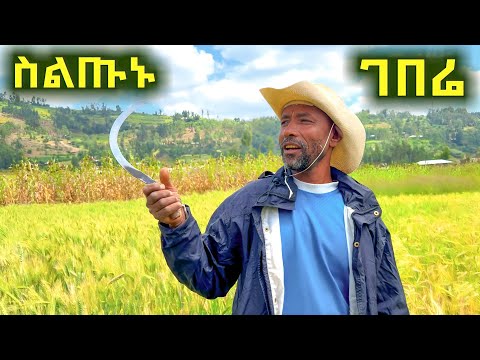 ✅ ማር ያጎረሰኝ ቸሩ የወሎ ገበሬ ❤ ከአባብዬ ቀዬ በተሁለደሬ ገደራ!  A day on farm with Ethiopian farmer.  #wollo  #ወሎ 