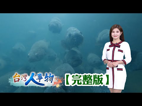 三代養鰻挑戰高風險 在鰻苗匱乏中求生存/超級理專賣玉米 年賣3200萬根全台最大/花枝丸夫妻年銷五億 一條龍製造日產15噸/巨大淡水魚墨瑞鱈 肉質細緻身價高【台灣人事物】2025.12.13✦完整版✦