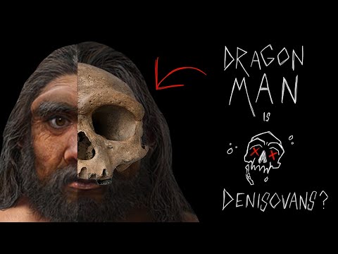 Did Denisovans Finally Get a Face? New Homo longi Discovery Explained