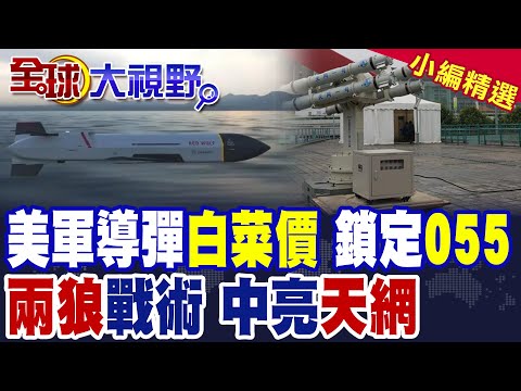 美軍研發廉價導彈鎖定"中國055驅逐艦" 中國亮"天網"突破美軍"雙狼"戰術【全球大視野】精華版 @全球大視野Global_Vision