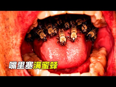 運蜂車側翻，億萬只蜜蜂飛了出來，鑽進男人嘴裡，科幻，奇幻，電影，解說， 獵奇，懸疑，冒險，救援