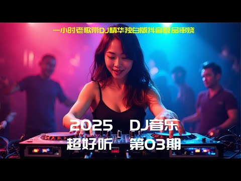 一小时老歌带DJ精华独白版抖音极品串烧，2025车载热门DJ舞曲
