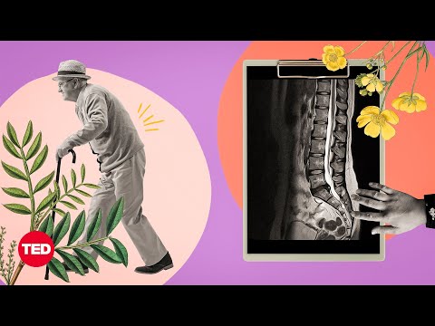 5 Things You Should Know About Back Pain | Body Stuff with Dr. Jen Gunter | TED