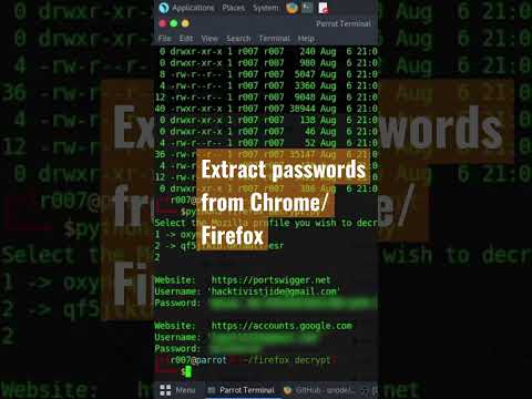 Extracting Encrypted Passwords in Browsers #shorts