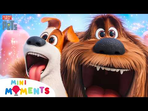 Secret Life of Pets Crazy Moments! 🐶😯🐰 | The Secret Life of Pets | Comp | Mini Moments