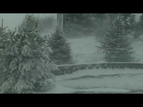 Epic Snowstorm | 10 Hours Version | Howling Blizzard Sounds | Heavy Wind | Perfect Sounds For Sleep