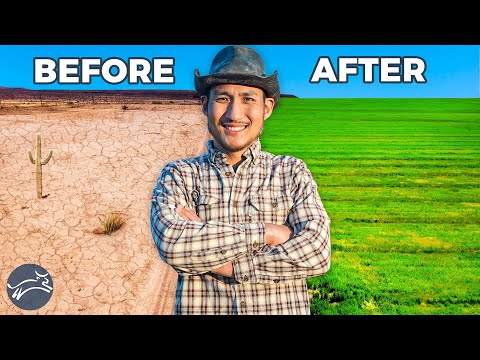 Regenerating the Desert in Arizona: From Wasteland to Farmland