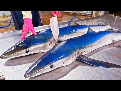 Amazing Seafood！Fish Cutting Skills, Seafood Catching Collection / 驚奇的捕撈！魚的切割技能, 海鮮美食大合集