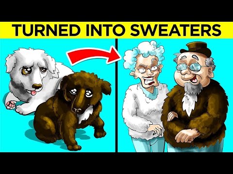 STRANGEST Pet Owners In The World