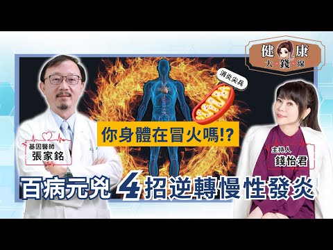 Doctor Reveals How Mitochondria Renewal Boosts Energy & Reduces Inflammation【Money's Health Line】