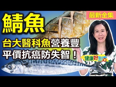 健康好生活  20250519  吃「鯖魚」好聰明！「台大醫科魚」營養豐