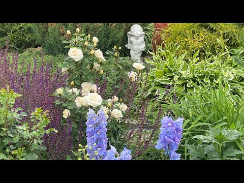 Уральский сад в июле !!! Обзор с названиями сортов растений и цветов !#сад#garden#нравится