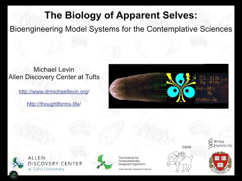 "The biology of apparent selves" by Michael Levin