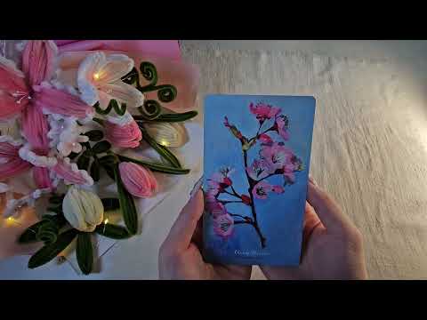 25 оныг 12 сард хэрхэн амжилттай үдэх 💀 25 оны төгсгөлд ирэх шагнал 🎁 зөвлөгөө 🩷