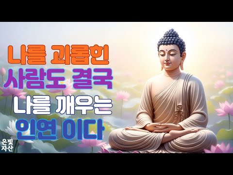@나를 괴롭힌 사람도 결국 나를 깨우는 인연이다 ㅣ부처님 말씀으로 배우는 삶의 지혜｜인간관계 잘하는 법｜침묵의 힘｜마음 다스리는 법｜불교 오디오 북｜지혜로운 사람 되는 법ㅣ