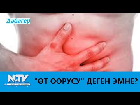 "ӨТ ООРУСУ" ДЕГЕН ЭМНЕ?\\ДАБАГЕР\\NewTV
