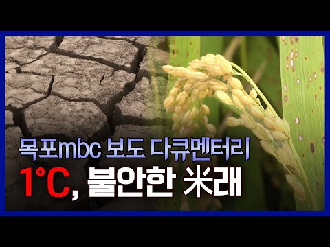 [목포MBC 보도 다큐] 1°c, 불안한 米래