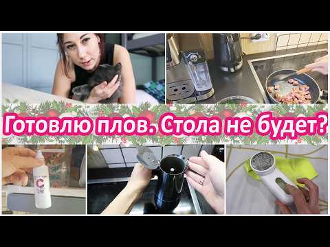 In the kitchen with a squirrel. No New Year's preparations!