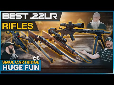 Best .22LR Rifles: BIGGER Isn’t Always BETTER 💪