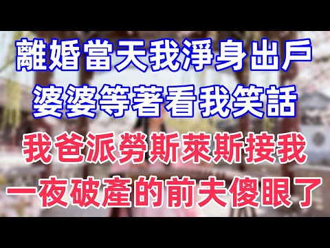 離婚當天我淨身出戶，婆婆等著看我笑話，我爸派勞斯萊斯接我，一夜破產的前夫傻眼了#情感故事 #小說 #家庭故事 #退休生活 #生活经验 #真实故事 #人生感悟 #心灵感悟