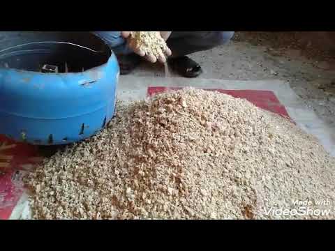 اختراع تكسير العيش الناشف بفكره عبقرية بسيطة جداً