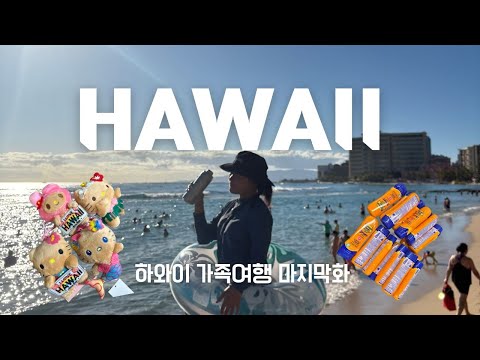 🌴하와이 가족여행 3탄🌴하나우마베이 갔다가 로스 쇼핑으로 100만원 탕진하며 마무리 하는 하와이 여행