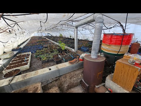 It's -20°C outside. How do we heat our greenhouses and what do we grow in them in winter?
