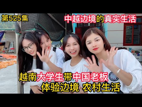 第525集，越南大學生帶中國老闆，體驗中越邊境的真實農村生活！