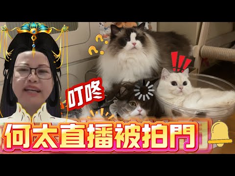 何太公屋直播被敲門！極之串嘴鬧爆網民 死性不改！貓仔模仿河馬口音讀留言：多謝i甩you🤣|creamy又扮米警察 林冬瓜覺得無人鐘意佢💔白雪雪依舊串嘴📢