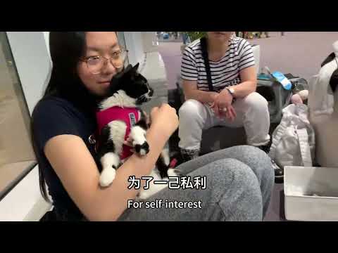 轻轻的我走了，不带走一片云彩。          移民失败，跨国搬家回国养老，