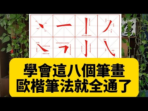 這八個筆畫號稱筆畫之母,拿下他們就拿下了歐楷所有的筆法