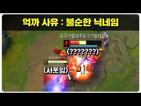 트위치 서폿보다 더한 섀끼ㅋㅋㅋㅋ