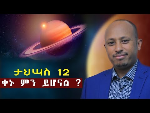 ታኋሣሥ  አስራ ሁለት  ቀኑ ምን ይሆናል?